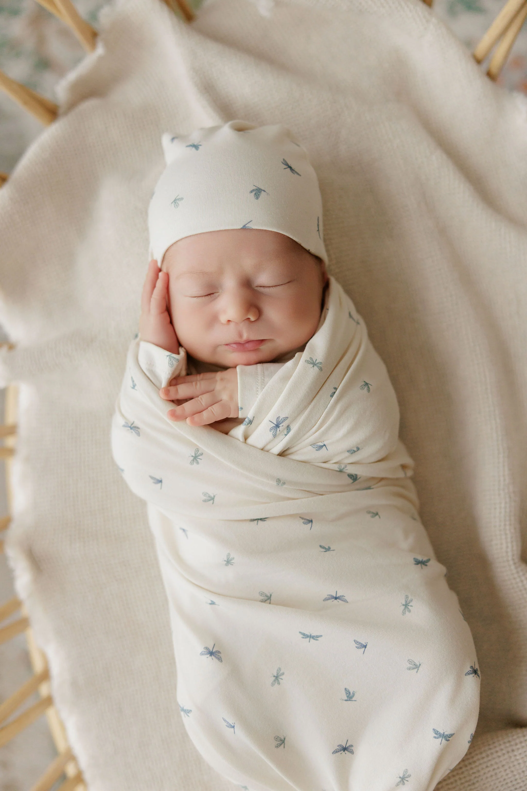 Aurora Jersey Cotton Dragonfly Collection Layette Set - Ivory/Blue - Image 2