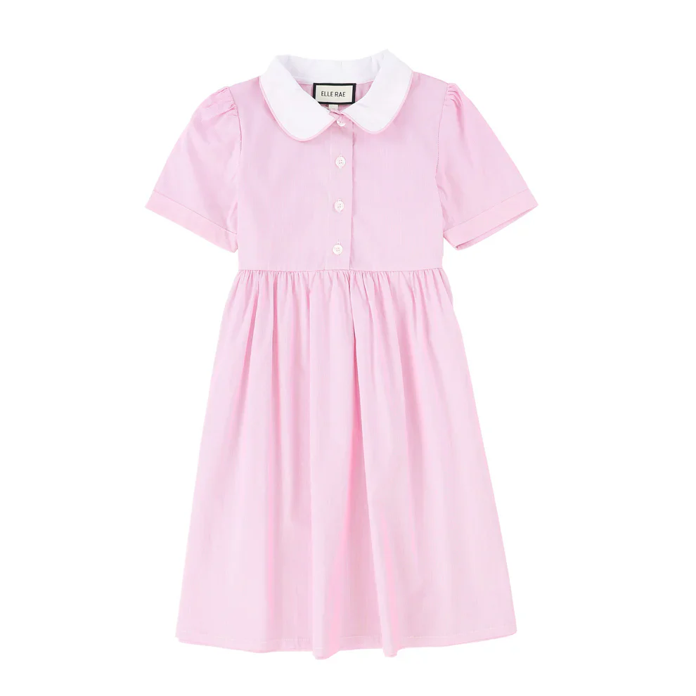 Elle Rae Pinstripe Pink Dress (Short Sleeve)