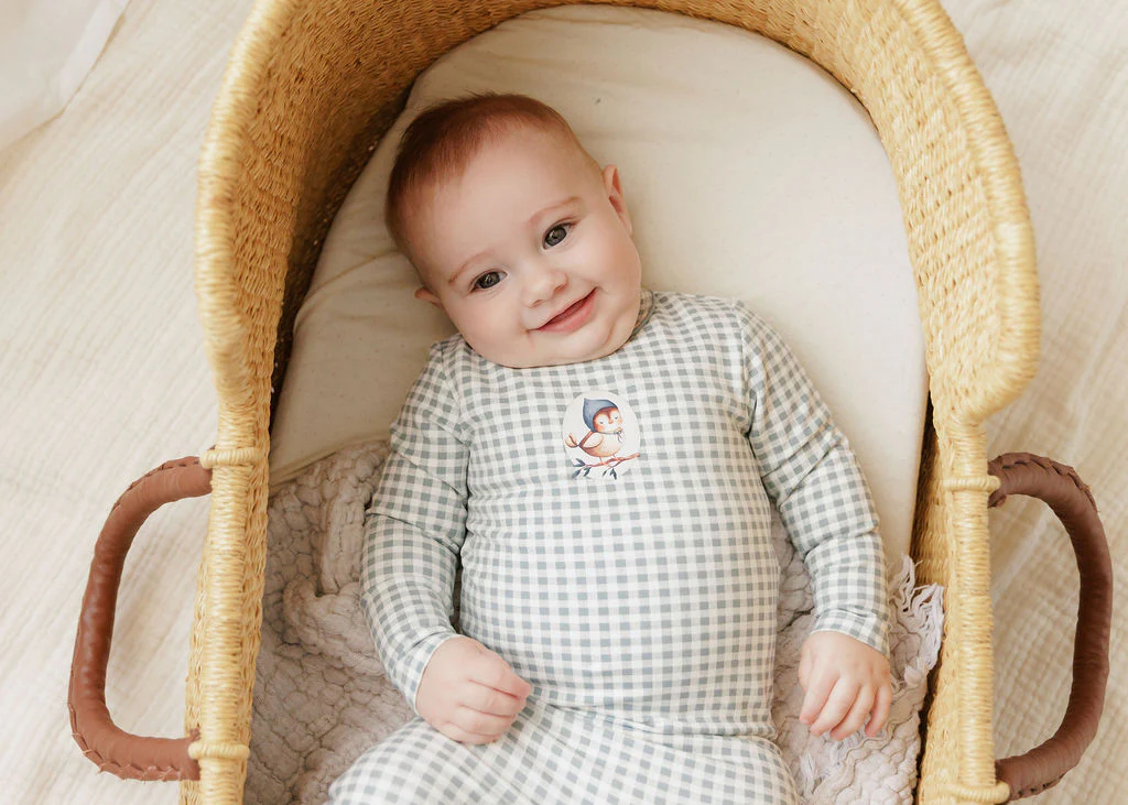 Ely's & Co Jersey Cotton Owl Gingham Collection Footie - Blue - Image 2