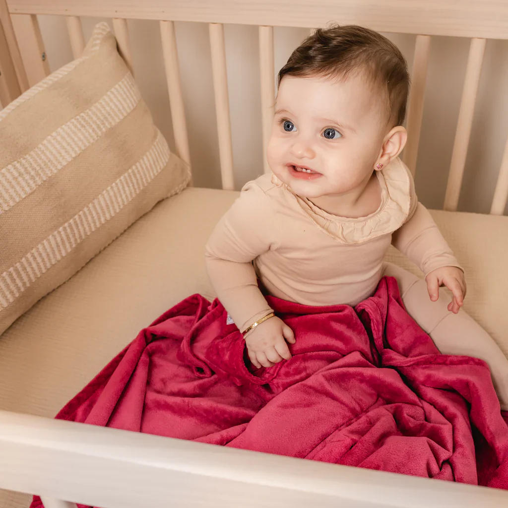 Swaddle Bee Minky Bee Stroller Blanket - Raspberry - Image 2