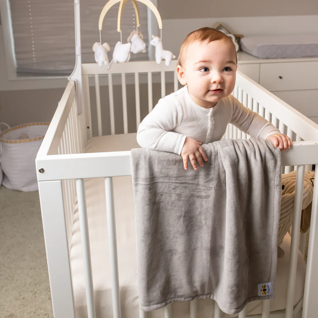 Swaddle Bee Minky Bee Stroller Blanket - CHANUKA GIFT SET (FEW COLORS) - Image 2
